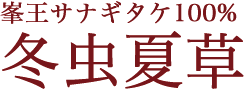 峯王サナギダケ1005 冬虫夏草