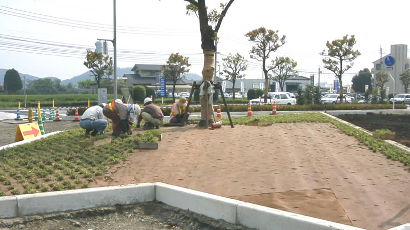 麻生田里木線植え付け